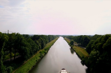 Rijkswaterstaat kapt bomen Julianakanaal die luchtwegklachten kunnen veroorzaken