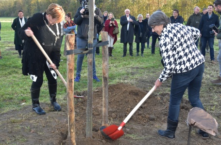 Eerste boom ter ere van Jan Mans geplant
